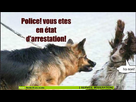 https://image.noelshack.com/fichiers/2013/34/1377155787-222222.jpg