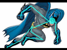 https://image.noelshack.com/fichiers/2013/34/1377258194-pg-52-batman.jpg