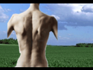https://image.noelshack.com/fichiers/2013/34/1377444316-my-sides.gif