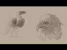 https://image.noelshack.com/fichiers/2013/36/1378569913-dynamic-sketching.jpg