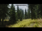 https://image.noelshack.com/fichiers/2013/36/1378636513-foret-a.jpg