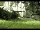 https://image.noelshack.com/fichiers/2013/37/1379103196-gorilla.gif