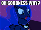 https://image.noelshack.com/fichiers/2013/37/1379160702-mlfw5674-oh-goodness-why.png