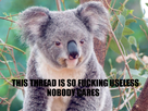 https://image.noelshack.com/fichiers/2013/37/1379275822-sbd.png
