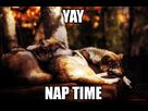https://image.noelshack.com/fichiers/2013/37/1379279568-nap.jpg