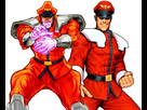 https://image.noelshack.com/fichiers/2013/38/1379371433-cvs-m-bison.jpg