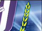 https://image.noelshack.com/fichiers/2013/38/1379440079-benfica-x-anderlecht-12.png