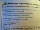 https://image.noelshack.com/fichiers/2013/38/1379612738-iphone-image-09-19-2013.jpg