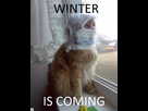 https://image.noelshack.com/fichiers/2013/39/1380392454-winter-is-coming.jpg