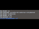 https://image.noelshack.com/fichiers/2013/39/1380413307-plastronee.png