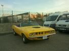 https://image.noelshack.com/fichiers/2013/39/1380465825-photo0529.jpg