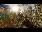 https://image.noelshack.com/fichiers/2013/40/1380739852-bf4-2013-10-02-20-21-19-31.png