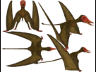 https://image.noelshack.com/fichiers/2013/41/1381273662-zyq5kt12.png