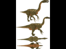 https://image.noelshack.com/fichiers/2013/41/1381273762-kyy3lg02.png