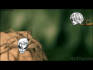 https://image.noelshack.com/fichiers/2013/41/1381428136-tumblr-mua6uk42yr1rujgj6o1-400.gif