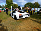 https://image.noelshack.com/fichiers/2013/41/1381683816-dscn8197.jpg