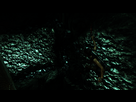 https://image.noelshack.com/fichiers/2013/42/1382046751-tombraider-2013-10-17-22-45-07-81.png