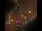 https://image.noelshack.com/fichiers/2013/42/1382109256-terrariasp.png