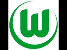 https://image.noelshack.com/fichiers/2013/42/1382180992-vfl-wolfsburg.jpg