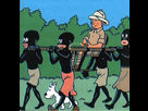 https://image.noelshack.com/fichiers/2013/43/1382550837-tintin-au-congo.jpg