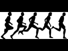 https://image.noelshack.com/fichiers/2013/43/1382711681-course.png