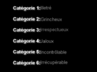https://image.noelshack.com/fichiers/2013/43/1382774862-categories.png