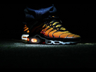 https://image.noelshack.com/fichiers/2013/44/1382993048-quincy-renon-nike-air-max-plus.jpg