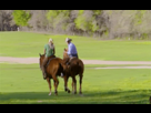 https://image.noelshack.com/fichiers/2013/44/1383171029-simple-horsefail.gif