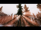 https://image.noelshack.com/fichiers/2013/44/1383230740-skyrim-2013-11-01-14-17-52-56.png
