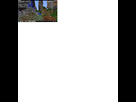 https://image.noelshack.com/fichiers/2013/44/1383506693-wtf3.png