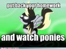 https://image.noelshack.com/fichiers/2013/45/1383682896-my-little-pony-friendship-is-magic-brony-obey-the-derp.jpg