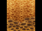 https://image.noelshack.com/fichiers/2013/46/1384278120-tumblr-mrq4p4bgk71rieldfo1-500.gif