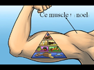 https://image.noelshack.com/fichiers/2013/46/1384372011-build-muscle.jpg