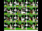 https://image.noelshack.com/fichiers/2013/46/1384437862-smash-bros-1-9.png