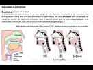 https://image.noelshack.com/fichiers/2013/46/1384449431-spe-4.png