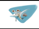 https://image.noelshack.com/fichiers/2013/46/1384454259-turtlewar.png