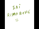 https://image.noelshack.com/fichiers/2013/46/1384514494-sairemarche.jpg
