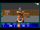 https://image.noelshack.com/fichiers/2013/46/1384605560-wolfenstein-3d-19.png