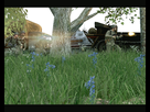 https://image.noelshack.com/fichiers/2013/46/1384658478-gm-flatgrass0047.jpg