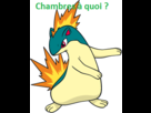 https://image.noelshack.com/fichiers/2013/47/1384817588-feurisson.png