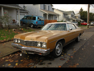https://image.noelshack.com/fichiers/2013/47/1384974015-impala1.png