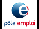 https://image.noelshack.com/fichiers/2013/47/1385194334-logo-pole-emploi.png