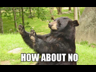 https://image.noelshack.com/fichiers/2013/48/1385636138-01-how-about-no-bear.jpg