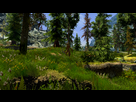 https://image.noelshack.com/fichiers/2013/48/1385652043-skyrim-2013-11-29-14-58-38-82.png