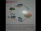 https://image.noelshack.com/fichiers/2013/48/1385669348-1476133-1432795050272291-390400304-n.jpg