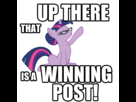 https://image.noelshack.com/fichiers/2013/48/1385755092-twi-winning-pos.png