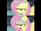 https://image.noelshack.com/fichiers/2013/48/1385803943-madnessthisisponies-8774.jpg