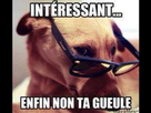 https://image.noelshack.com/fichiers/2013/48/1385832496-ineft.jpg