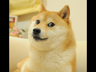 https://www.noelshack.com/2013-49-1386376131-doge.png