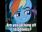 https://www.noelshack.com/2013-49-1386540969-492016-solo-rainbow-dash-questionable-image-macro-faic-daring-don-t-spoiler-colon-s04e04-smugdash.jpeg